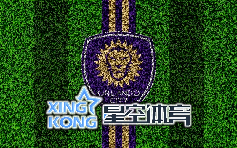 星空(星空)体育网站入口官网web 相伴每一场比赛
