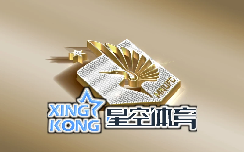 星空・体育登录入口功能模块分区示意