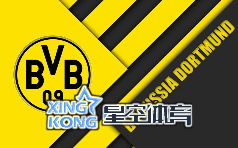 星空app官方网页版入口平台季度增长数据图表与外部战略趋势