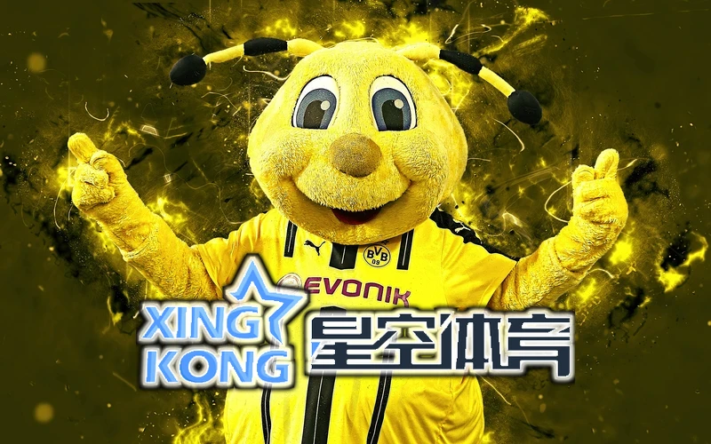 星空app官方网页版入口外观展示图
