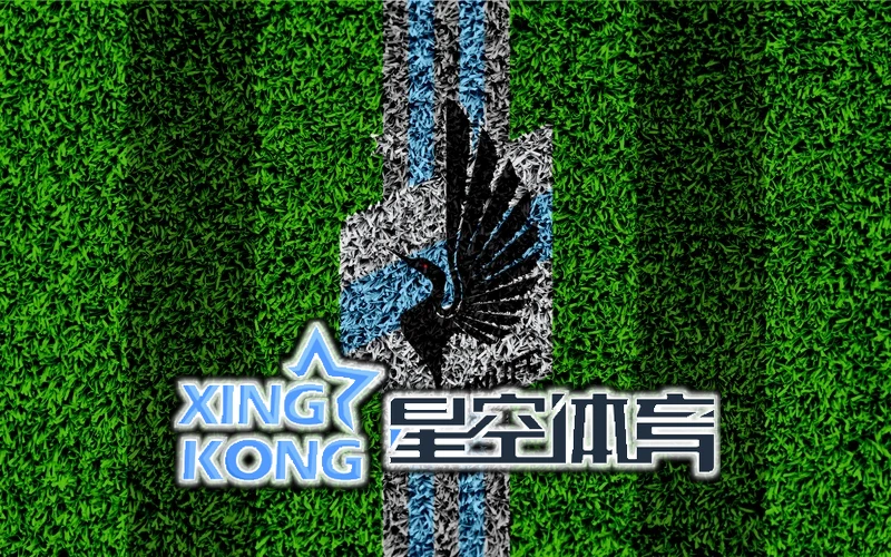 星空(星空)体育登录入口相关图片