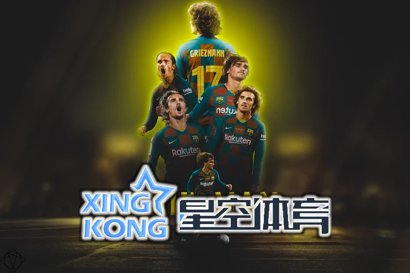 星空网站入口官网手机版电脑版下载界面