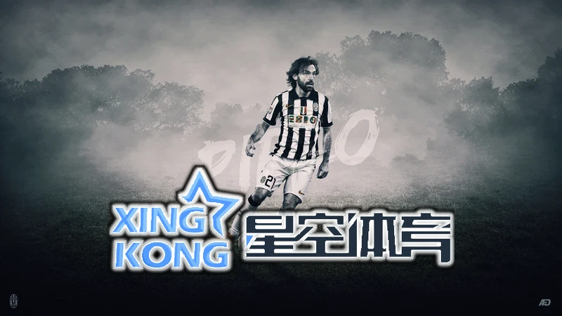 星空(xingkong)体育(中国)官方网站合作伙伴案例图