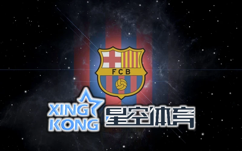 用户反馈与社区互动