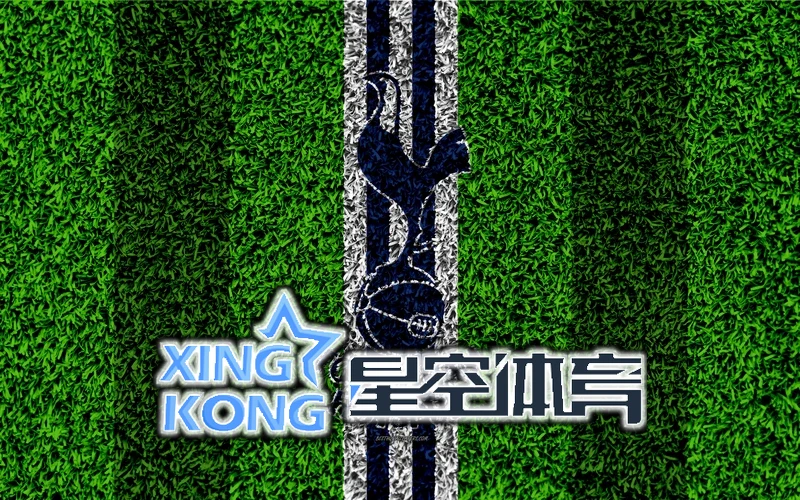 星空·综合(体育)app下载功能界面截图