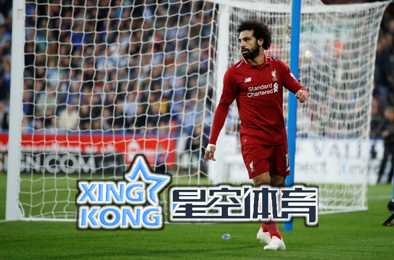 星空(xingkong)体育网站入口官网相关图片