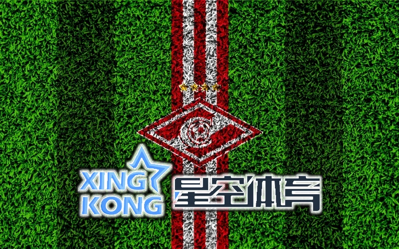 星空・体育综合app下载官网版下载功能模块示意图