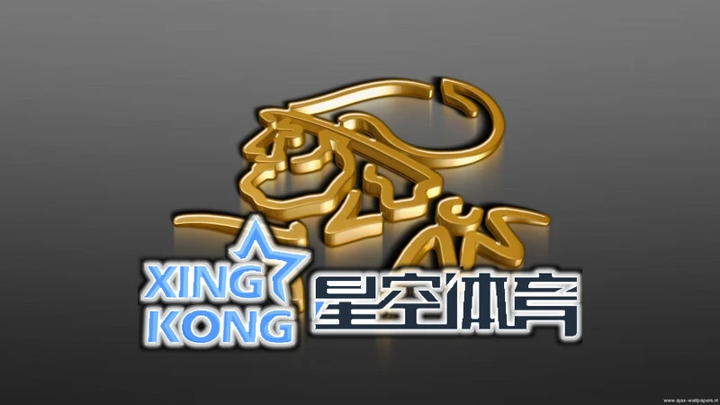 星空官网登录官网首页核心功能体验图片
