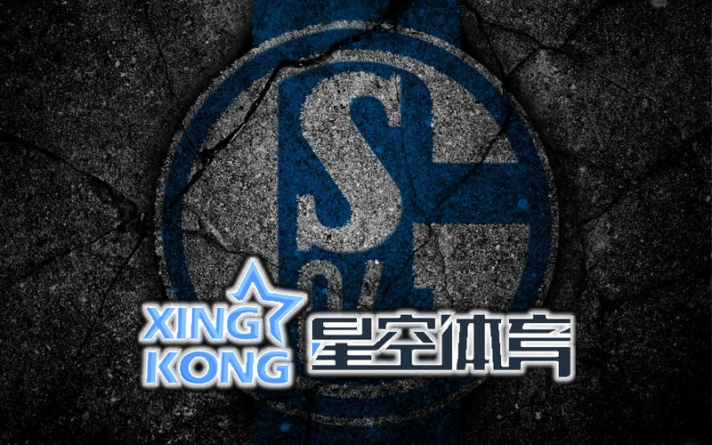 星空官网APP入口相关图片