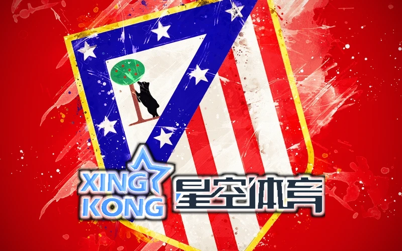 星空·综合体育app下载入口的预测功能界面