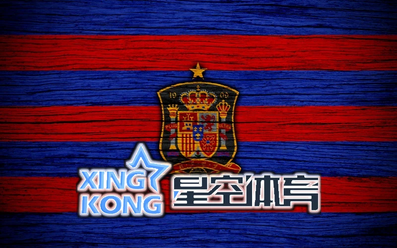 星空app官方网站登录入口开发平台升级