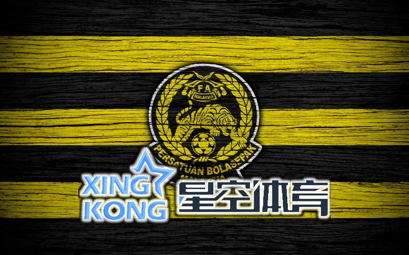星空·全站体育网页登录官方版web相关图片