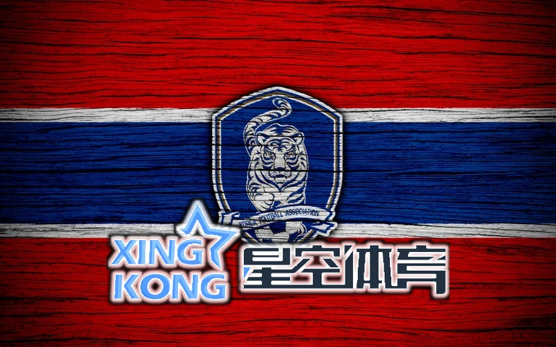 用户反馈