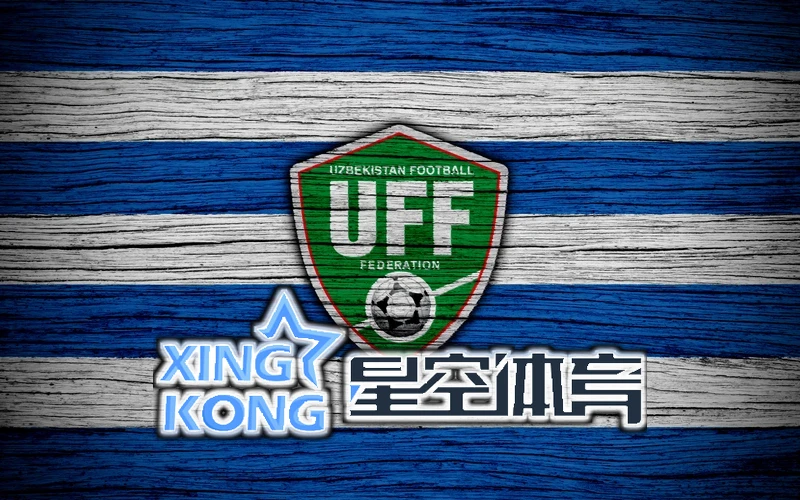星空网站入口官网手机版相关图片