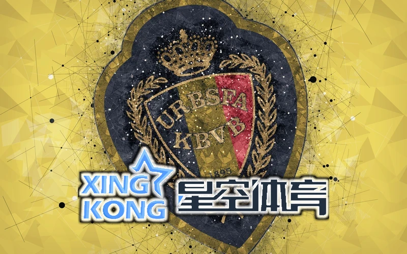 星空半岛App综合体育相关图片