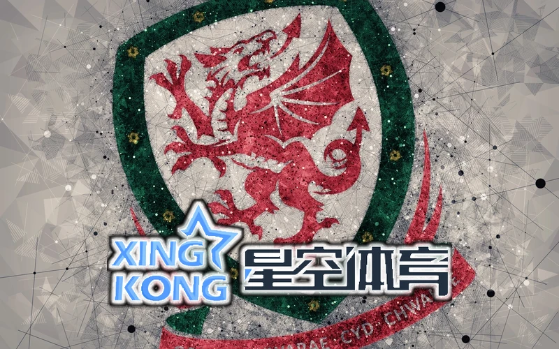 星空半岛App综合体育相关图片