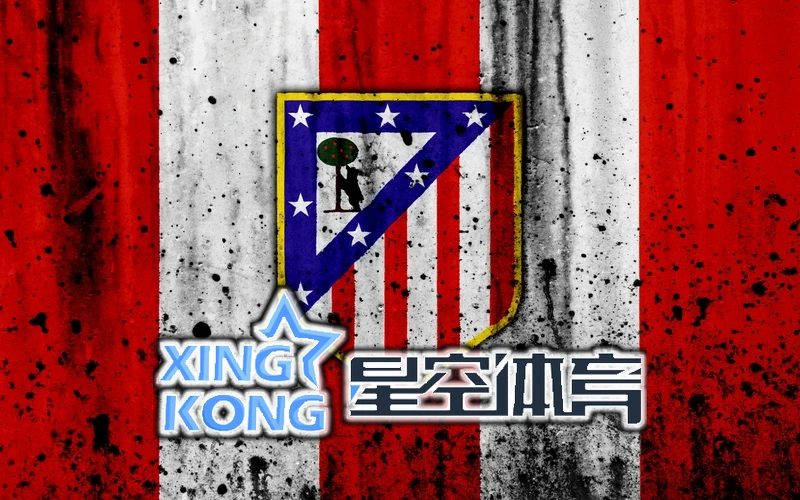 星空综合app官网登录相关图片