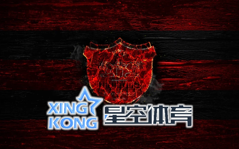 星空(xk)·体育(中国)赛事分析功能展示