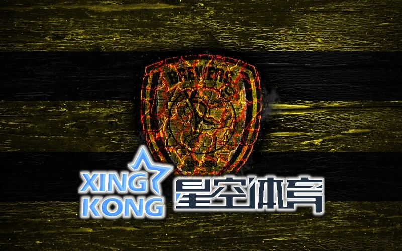 星空·综合(中国)体育相关图片 中国健儿夺冠瞬间