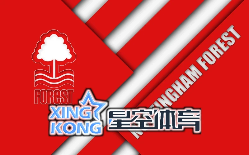星空·综合(中国)体育未来战略与市场拓展规划