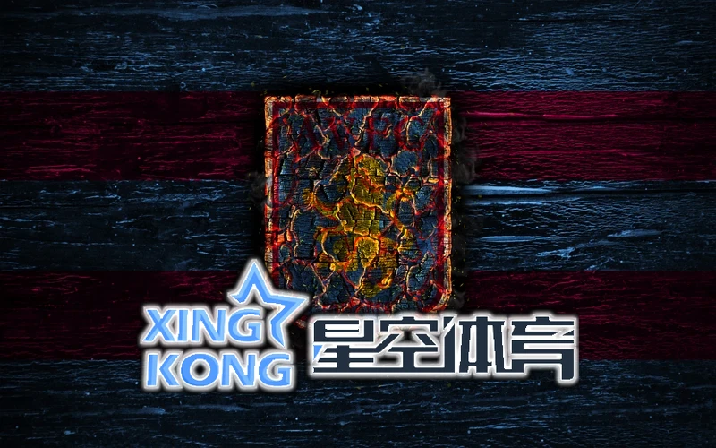 星空体育全站app 移动桌面支架
