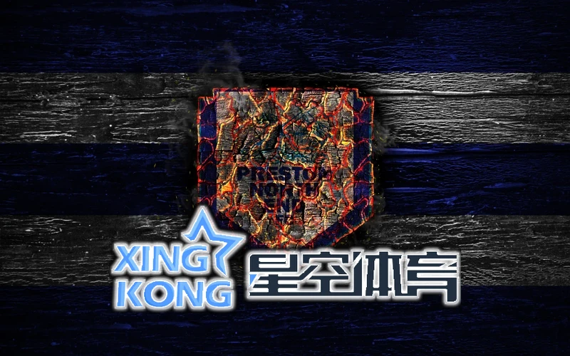 用户互动反馈