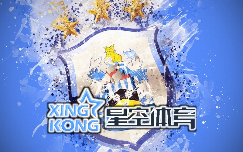 星空app体育官网登录入口界面