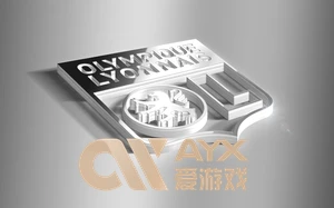 爱游戏(AYX)体育App官网