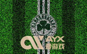 云开・体育官方网站全面升级，服务体验焕然一新