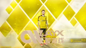 星空app登录入口官网全面解析用户必备登录指南