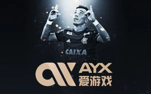 爱游戏・ayx-官网登录入口专利技术分布图