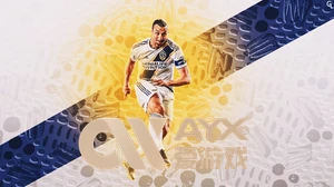 星空综合体育网页版登录精彩体验多样赛事一站尽享