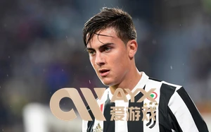 亚星官网全方位解读助力用户轻松掌握平台优势