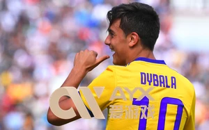 pg问鼎最新动态解析,全方位解读与实用指南