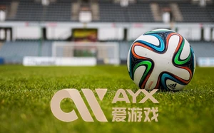 ayx・爱游戏(中国)官方网站