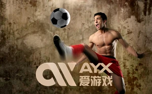 ayx体育app官方网站入口