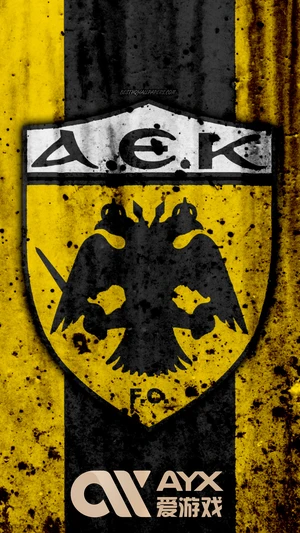 kai云体育app官方下载全解析，助您轻松体验优质体育赛事