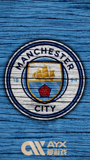 ayx体育app官方网站入口