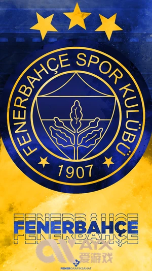 AYX・爱游戏中国手机版