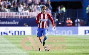 ng28官网入口下载全面指南最新版本多重福利助力畅玩