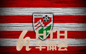 OD・体育中国官方入口全新体验与便捷服务详解