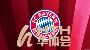 万博手机版max网页版为何成为用户首选平台