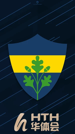 天元棋牌官网最新版深度解析新手入门全攻略