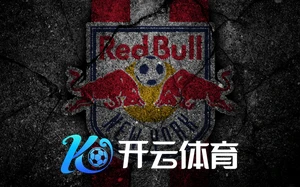 Kaiyun网页入口详解,便捷体验助力日常应用