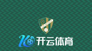 kaiyun下载app下载安装手机版