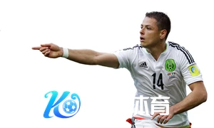 开・云官方网站下载详解,轻松获取正版资源