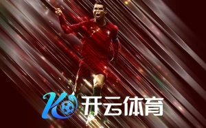 4949cc澳彩资料大全正版全面解析实用指南