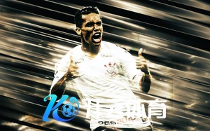 NG・体育南宫官方网站最新动态与全面介绍