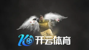 yoboo手机版登录入口官网详细介绍，操作指南及常见问题解答