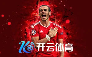 kaiyun平台登录入口便捷安全体验全面解析